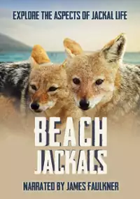 Plakat filmu Beach Jackals
