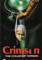 Antonia Lotito / Las ratas no duermen de noche