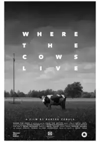 Plakat filmu Tam gdzie żyją krowy