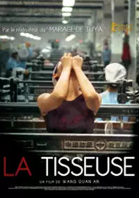 Plakat filmu Fang zhi gu niang