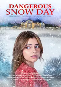 Plakat filmu Dangerous Snow Day