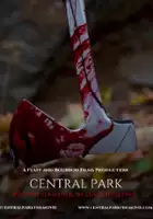 plakat filmu Central Park