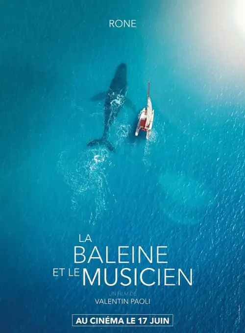plakat filmu Muzyk i wieloryb