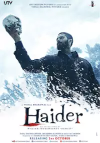 Plakat filmu Haider