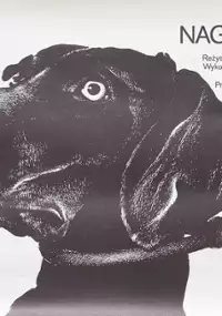 Plakat filmu Nagonka
