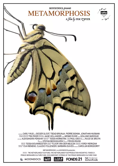 plakat filmu Metamorfoza