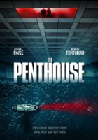 plakat filmu The Penthouse