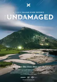 Plakat filmu Niezniszczone