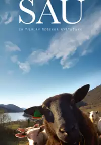 Plakat filmu Sau