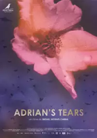 Plakat filmu Łzy Adriana