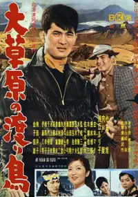 Plakat filmu Daisogen no wataridori