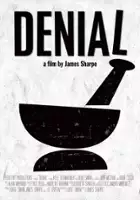 plakat filmu Denial