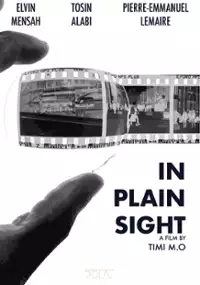 Plakat filmu In Plain Sight