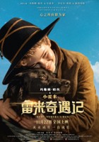 plakat filmu Przygody małego Remiego