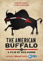 Julie Dunfey / The American Buffalo