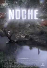 Plakat filmu Noc