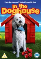 Logan Dondanville / In the Dog House