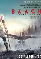 plakat filmu Baaghi 2