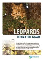 plakat filmu Lamparty z Dead Tree Island
