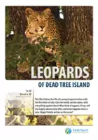 plakat filmu Lamparty z Dead Tree Island