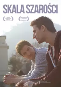 Plakat filmu Skala szarości