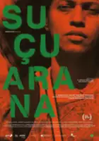 plakat filmu Suçuarana