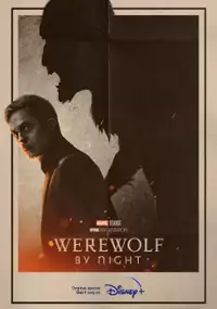 Plakat filmu Wilkołak nocą