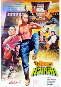 Plakat filmu Shao Lin Fo Jia Da Dao