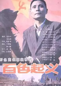 Plakat filmu Baise qi yi