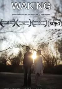 Plakat filmu Waking