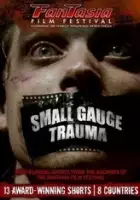 plakat filmu Small Gauge Trauma