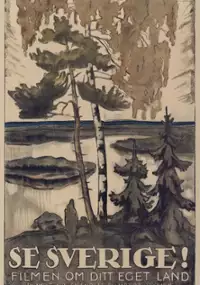 Plakat filmu Se Sverige!