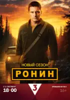 plakat serialu Ronin