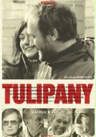 plakat filmu Tulipany