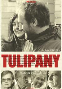 plakat filmu Tulipany