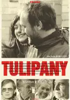 plakat filmu Tulipany