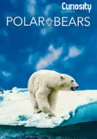 plakat filmu Polar Bears