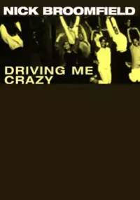 Plakat filmu Driving Me Crazy