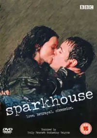Plakat filmu Dom na wrzosowisku