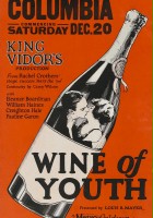 plakat filmu Wino młodości
