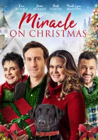 Plakat filmu Miracle on Christmas