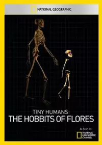 Plakat filmu Hobbity z Wyspy Flores