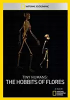 plakat filmu Hobbity z Wyspy Flores