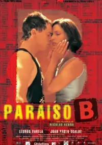 Plakat filmu Raj B
