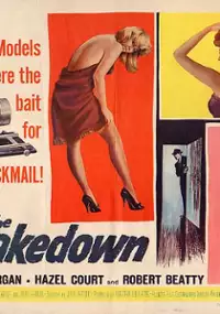 Plakat filmu The Shakedown