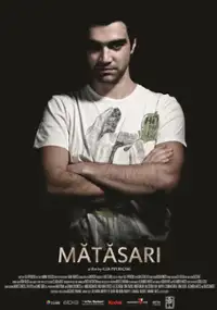 Plakat filmu Matasari