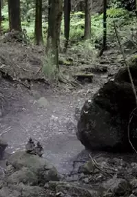 Plakat filmu Aramaki