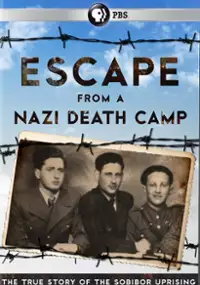 Plakat filmu Escape From a Nazi Death Camp