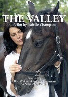 plakat filmu The Valley