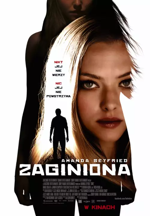plakat filmu Zaginiona